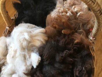 Alpaca Fleece