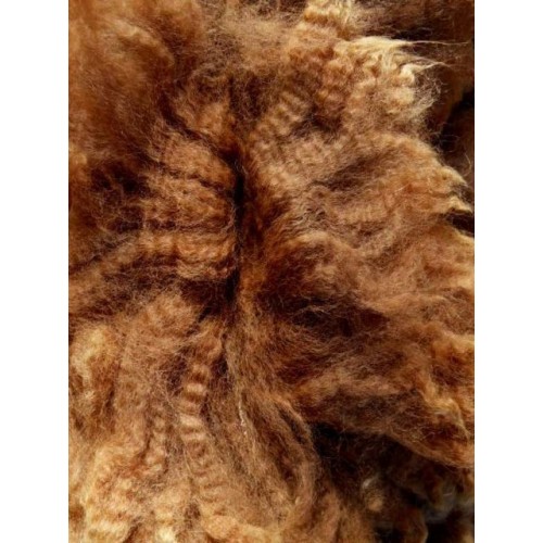 Alpaca Fleece Devon