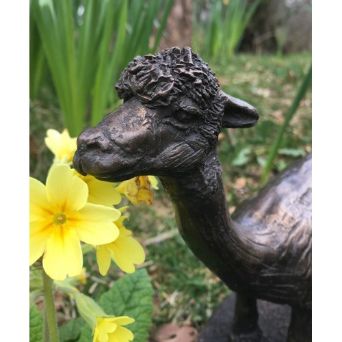 Alpaca Sculptures Devon