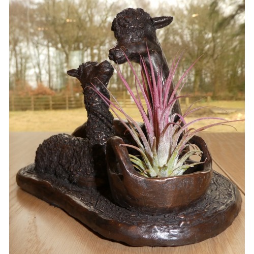 Bronze Alpaca Sculptures Devon