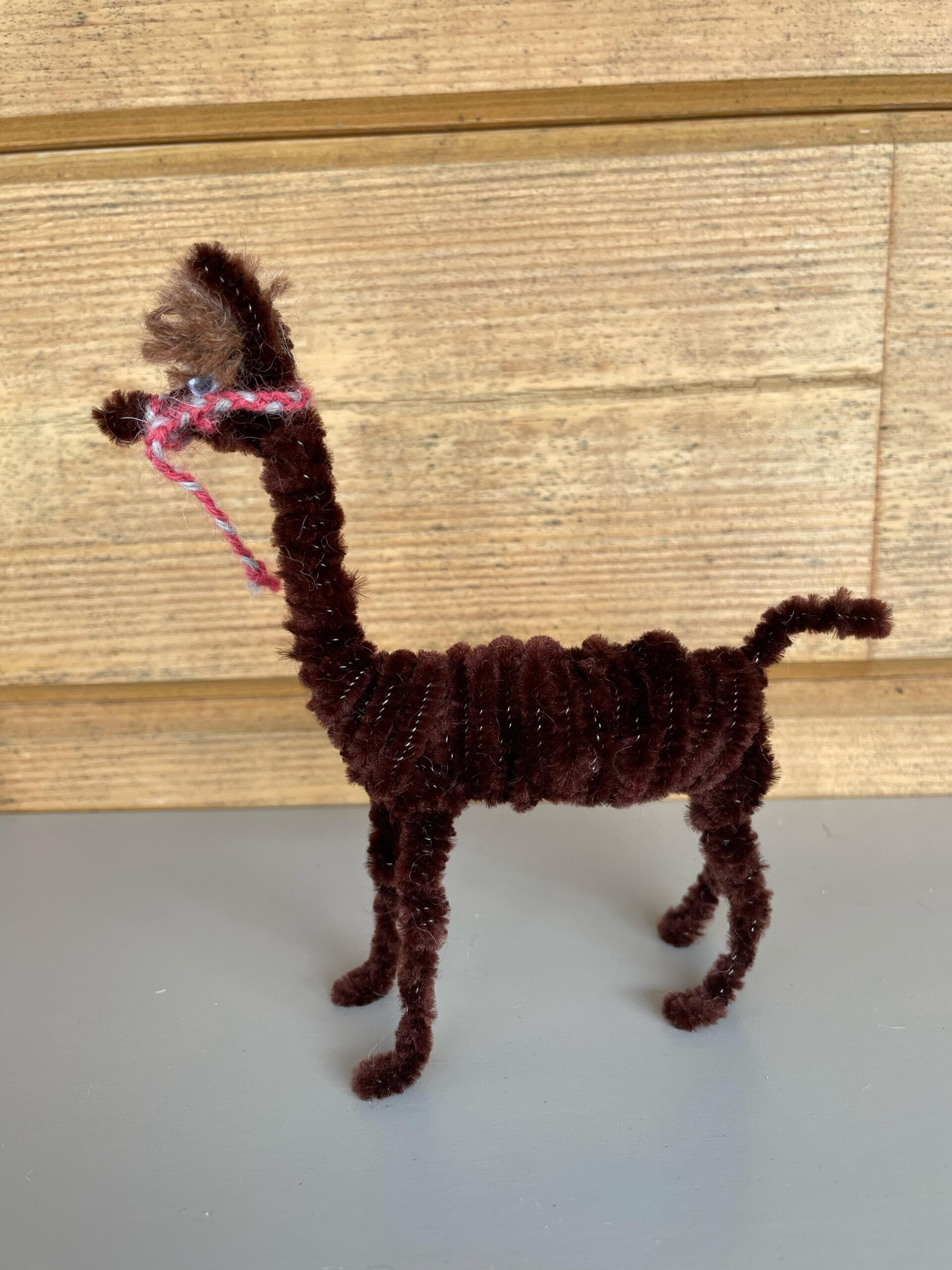 Pipe Cleaner 'Paca - Dark Brown - Image 3
