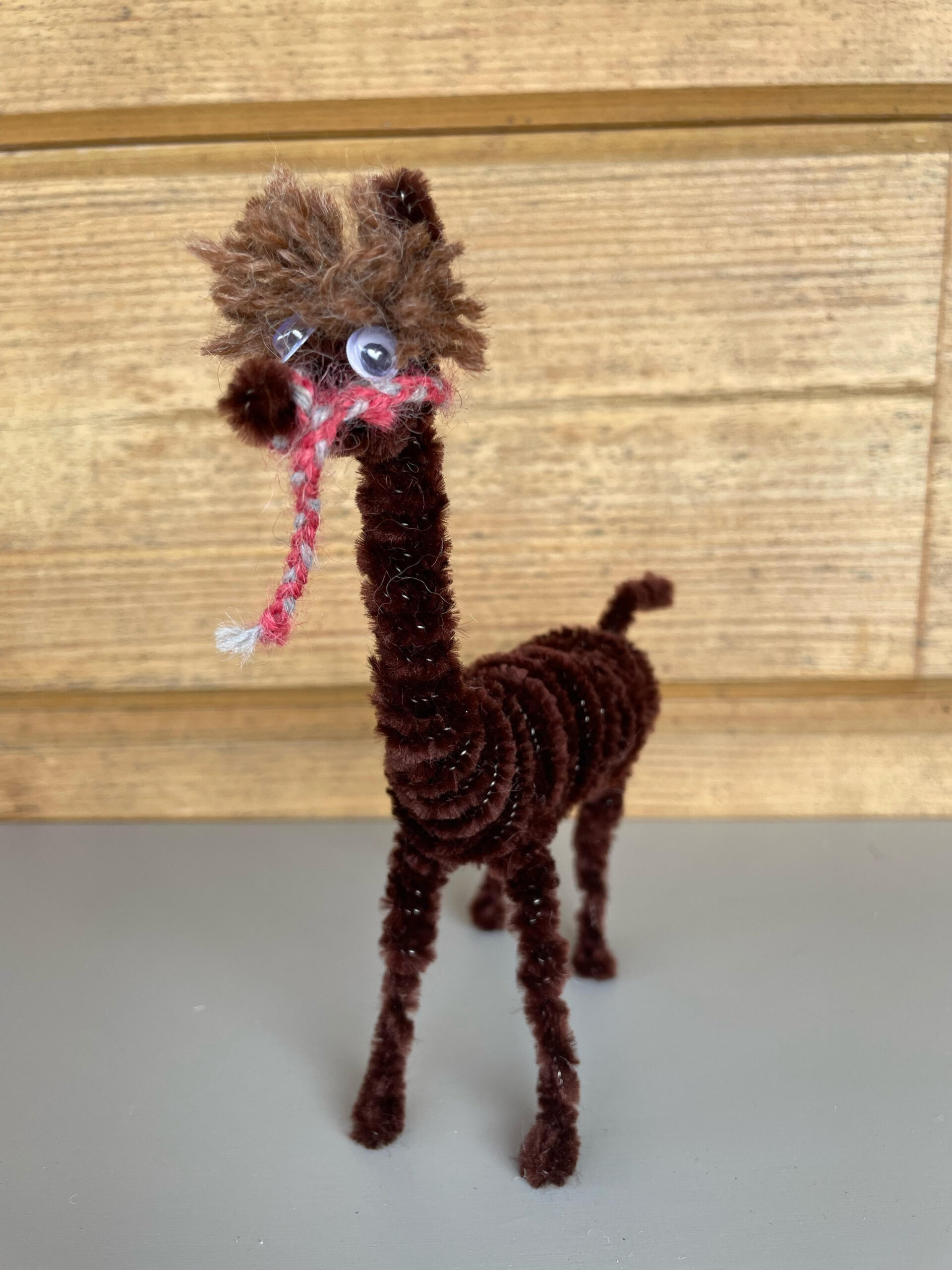 Pipe Cleaner 'Paca - Dark Brown - Image 2