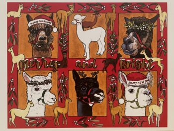 Alpaca Greeting Cards